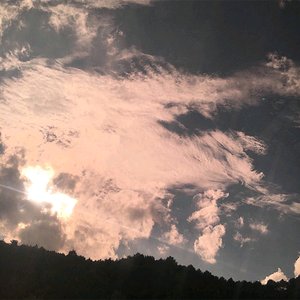 阿宾慧玉阿吉孟奔眼镜仔
